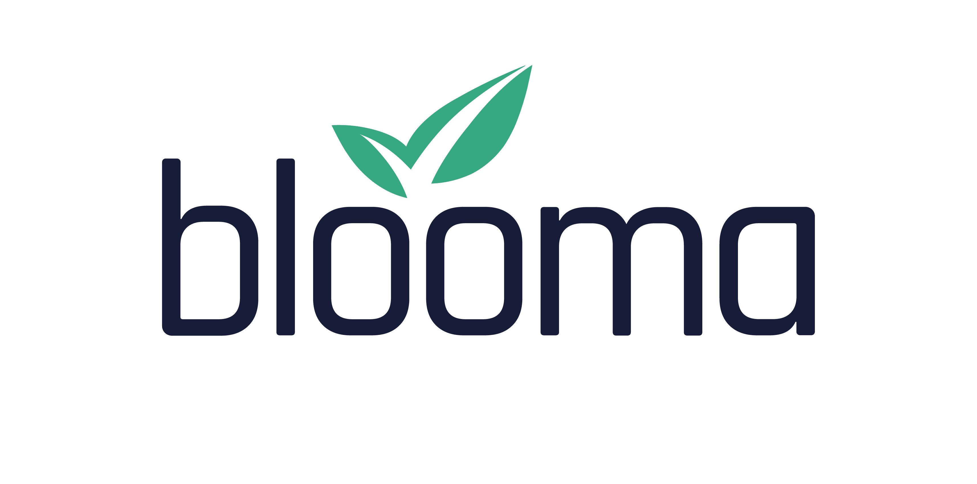 cre-lending-solutions-blooma